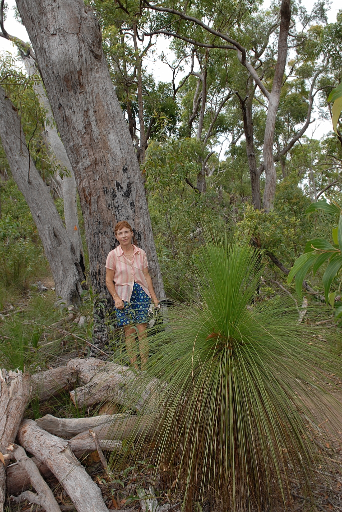 0622 Walshs Pyramid.jpg